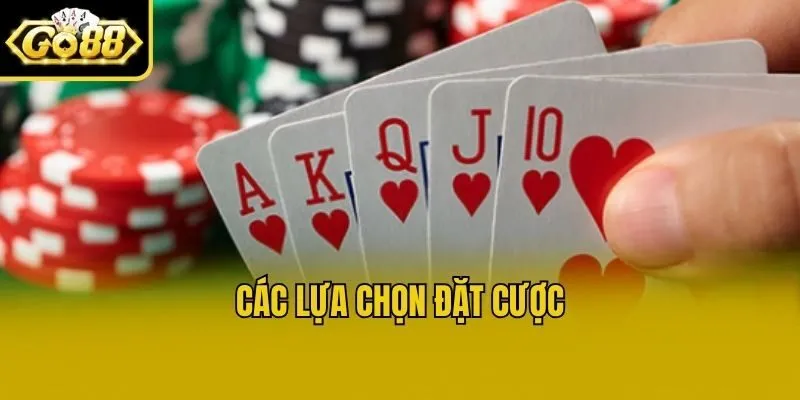 Các lựa chọn đặt cược